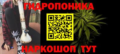 дмт Канаш