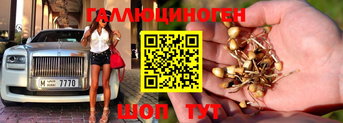 Волжский  Галлюциногенные грибы MAGIC MUSHROOMS  Вход с VPN 